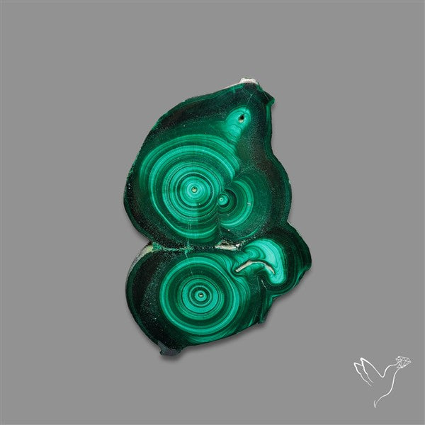 Rare Malachite Stalactite Slice Freeform Raw Edges