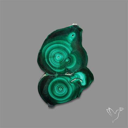 Rare Malachite Stalactite Slice Freeform Raw Edges