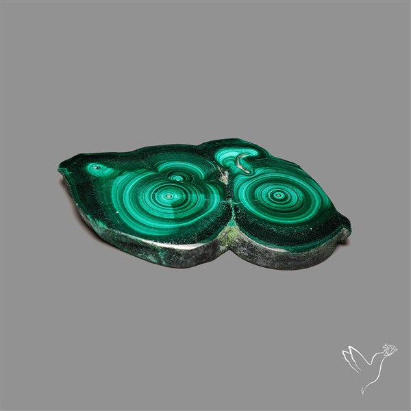 Rare Malachite Stalactite Slice Freeform Raw Edges