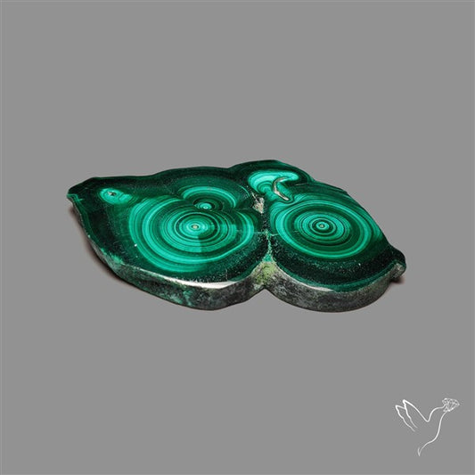 Rare Malachite Stalactite Slice Freeform Raw Edges
