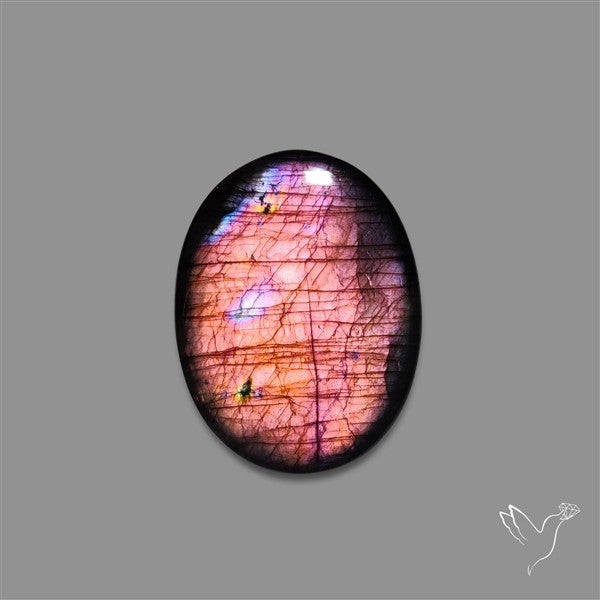 Finland Spectrolite Cabochon