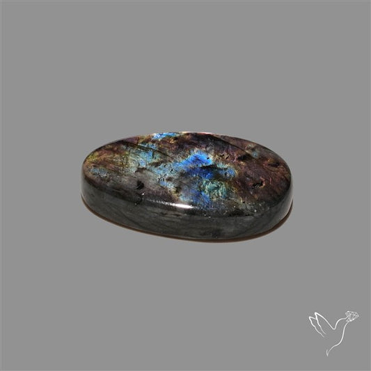Finland Spectrolite Cabochon