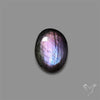 Finland Spectrolite Cabochon