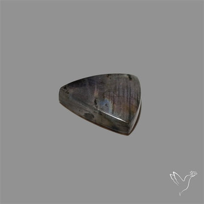 Finland Spectrolite Cabochon