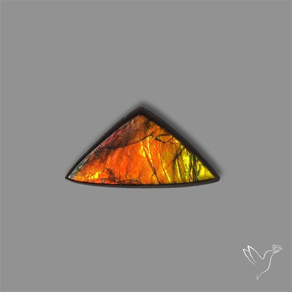 AAA Ammolite Cabochon