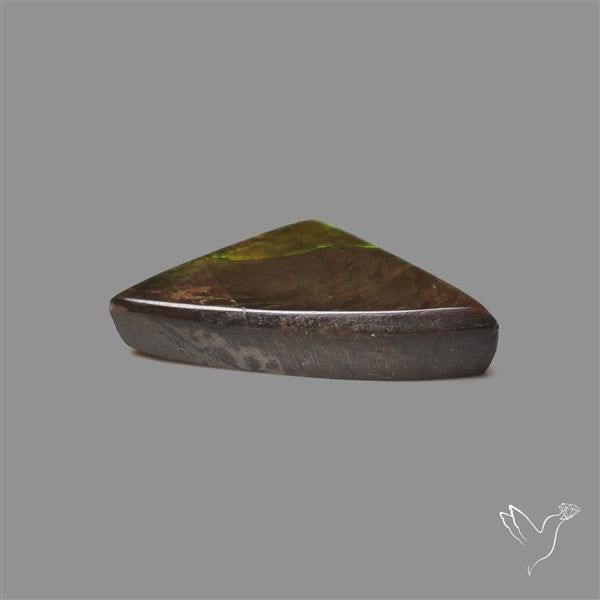 AAA Ammolite Cabochon