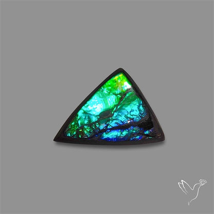 AAA Ammolite Cabochon