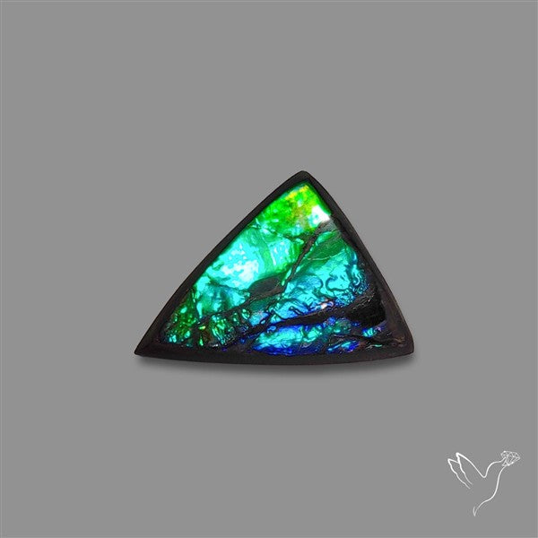 AAA Ammolite Cabochon