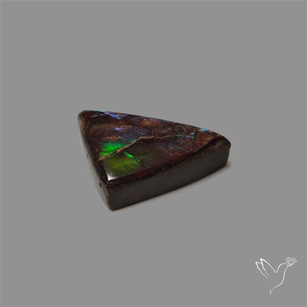 AAA Ammolite Cabochon