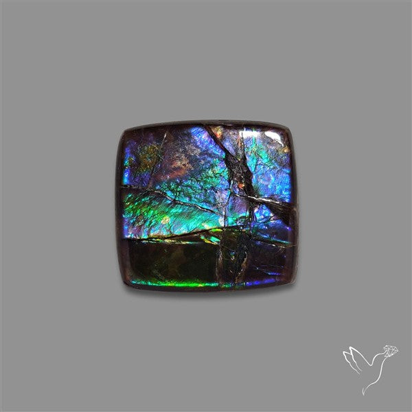 AAA Ammolite Cabochon