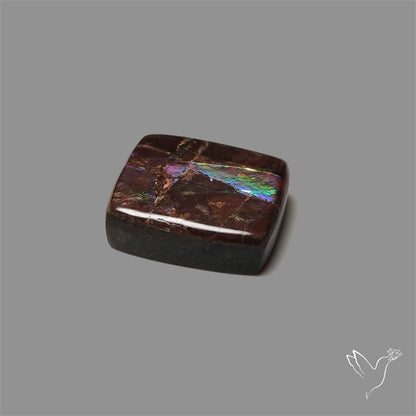 AAA Ammolite Cabochon