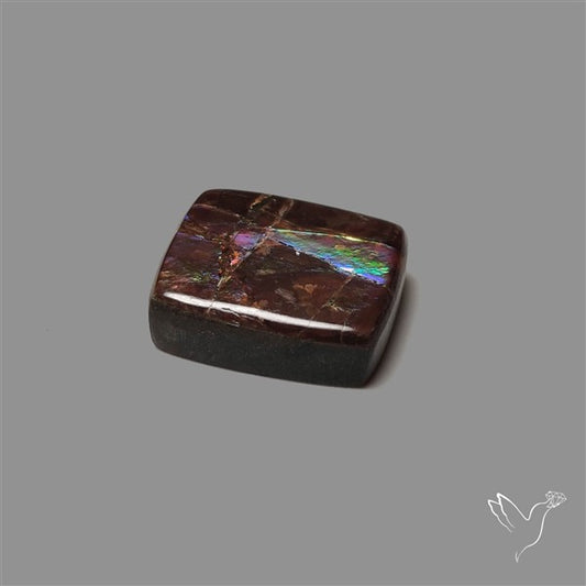 AAA Ammolite Cabochon