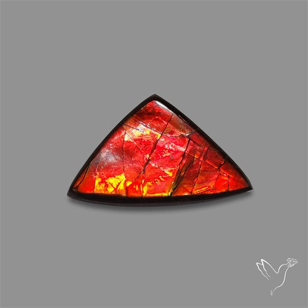 AAA Ammolite Cabochon