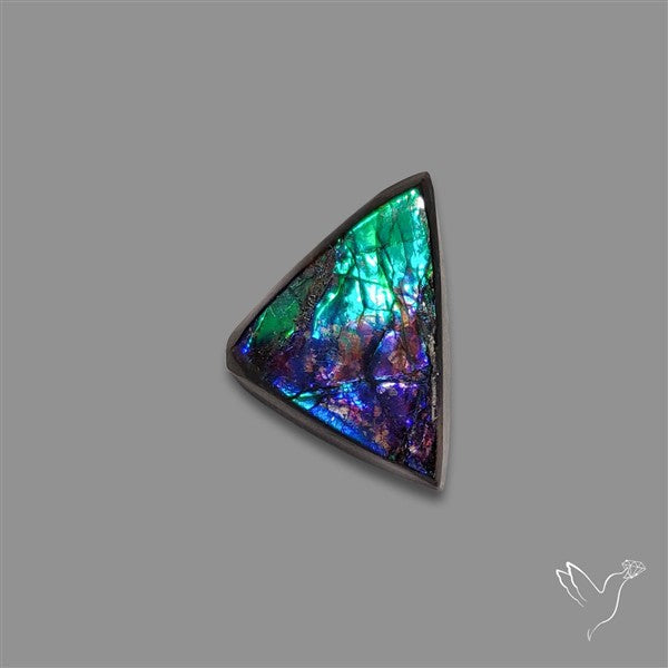 AAA Ammolite Cabochon