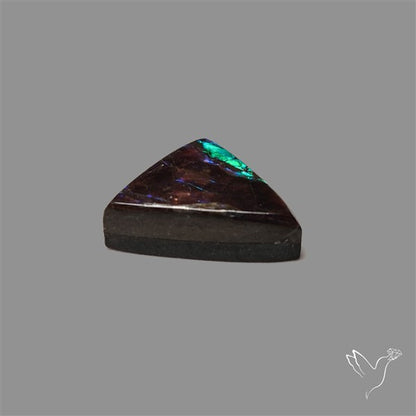 AAA Ammolite Cabochon