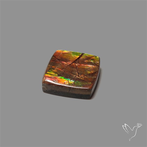 AAA Ammolite Cabochon
