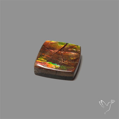 AAA Ammolite Cabochon