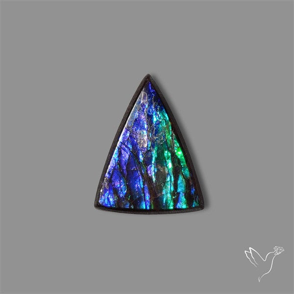 AAA Ammolite Cabochon