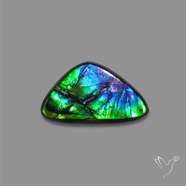 AAA Ammolite Cabochon