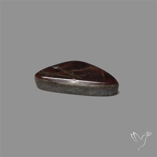 AAA Ammolite Cabochon