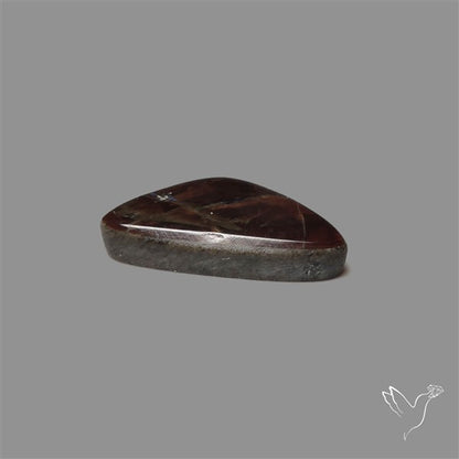 AAA Ammolite Cabochon