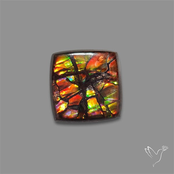 AAA Ammolite Cabochon