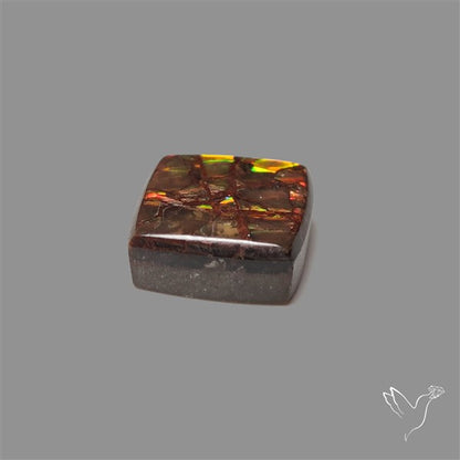 AAA Ammolite Cabochon