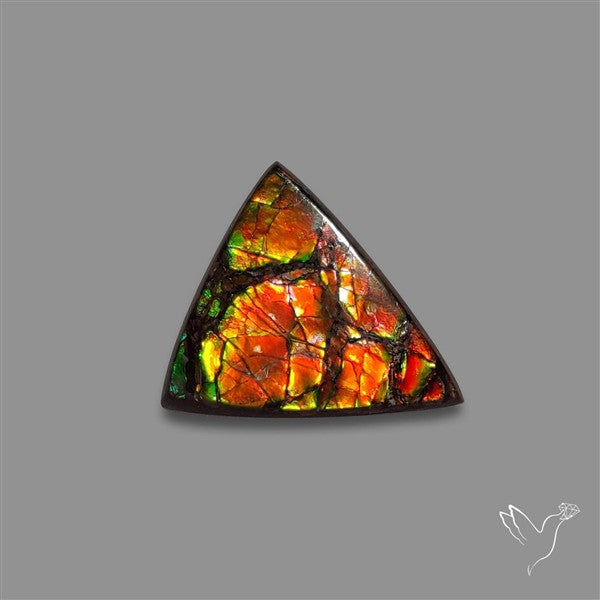 AAA Ammolite Cabochon