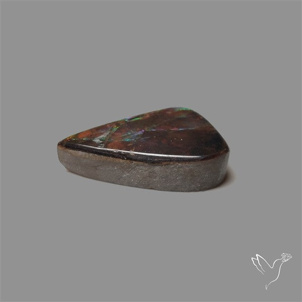 AAA Ammolite Cabochon