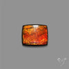 AAA Ammolite Cabochon