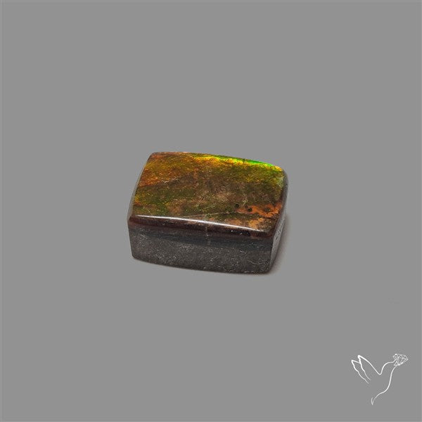 AAA Ammolite Cabochon