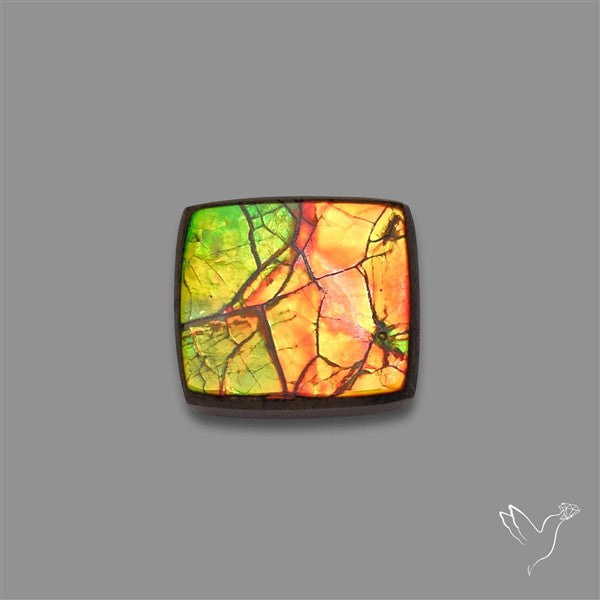 AAA Ammolite Cabochon