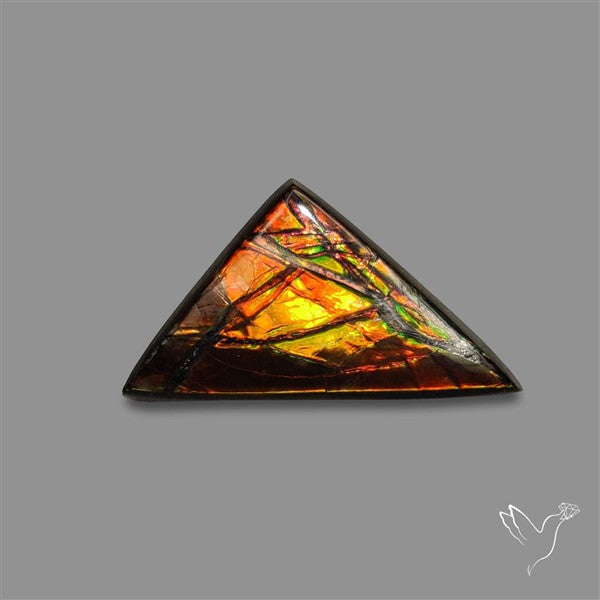 AAA Ammolite Cabochon