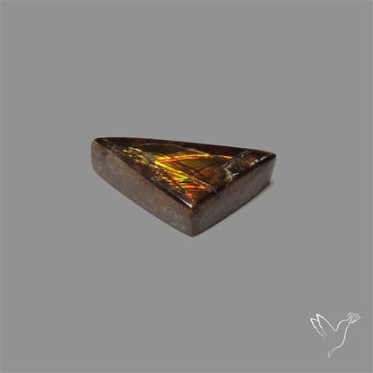 AAA Ammolite Cabochon