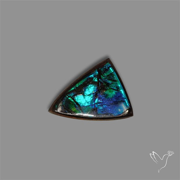 AAA Ammolite Cabochon
