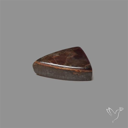 AAA Ammolite Cabochon