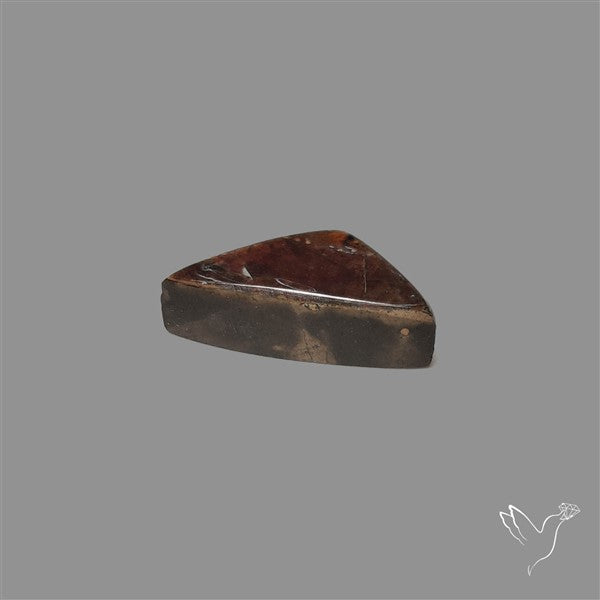 AAA Ammolite Cabochon