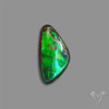 AAA Ammolite Cabochon