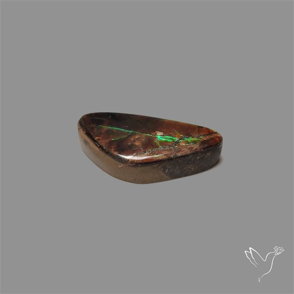 AAA Ammolite Cabochon