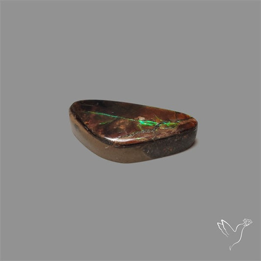 AAA Ammolite Cabochon