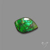 AAA Ammolite Cabochon