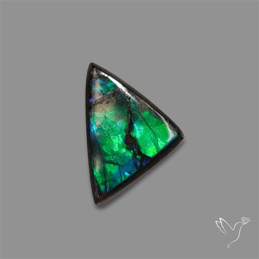 AAA Ammolite Cabochon