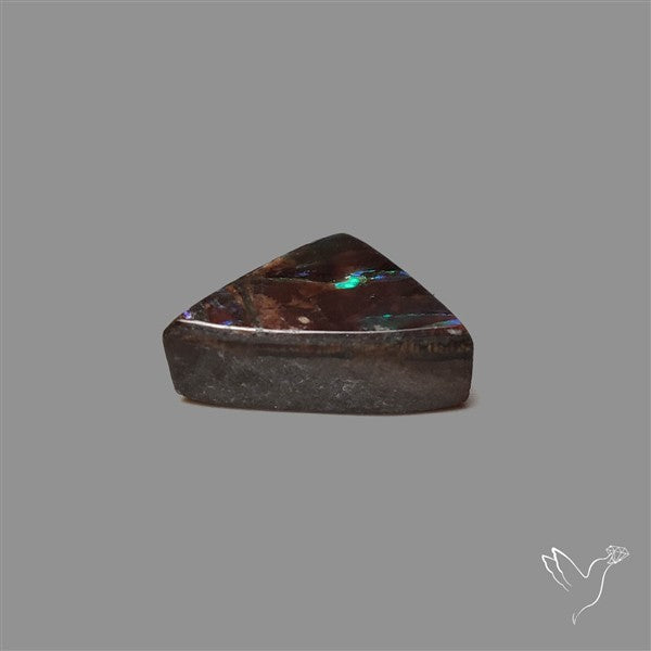 AAA Ammolite Cabochon