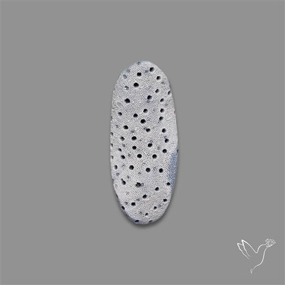 Blue Sponge Coral Raw Face