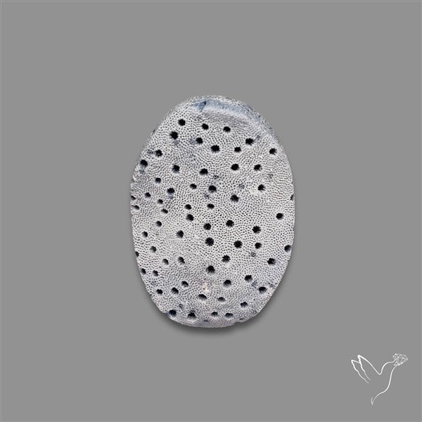 Blue Sponge Coral Raw Face