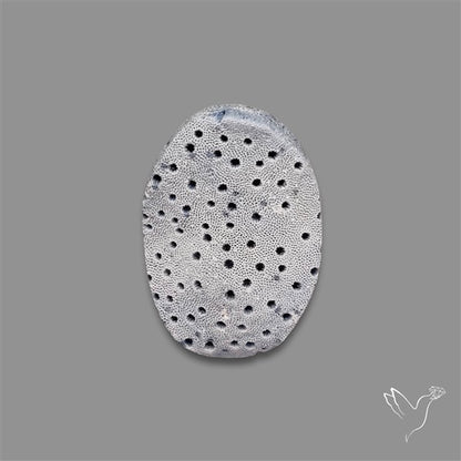 Blue Sponge Coral Raw Face
