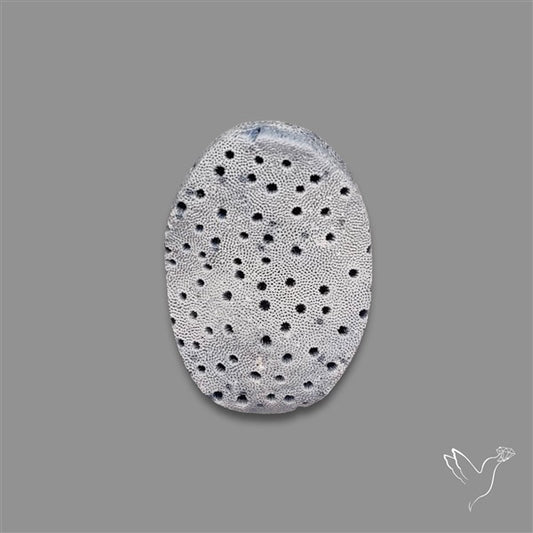 Blue Sponge Coral Raw Face