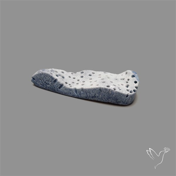 Blue Sponge Coral Raw Face