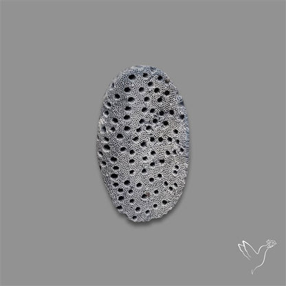Blue Sponge Coral Raw Face
