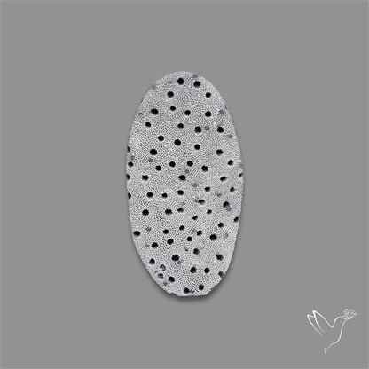 Blue Sponge Coral Raw Face